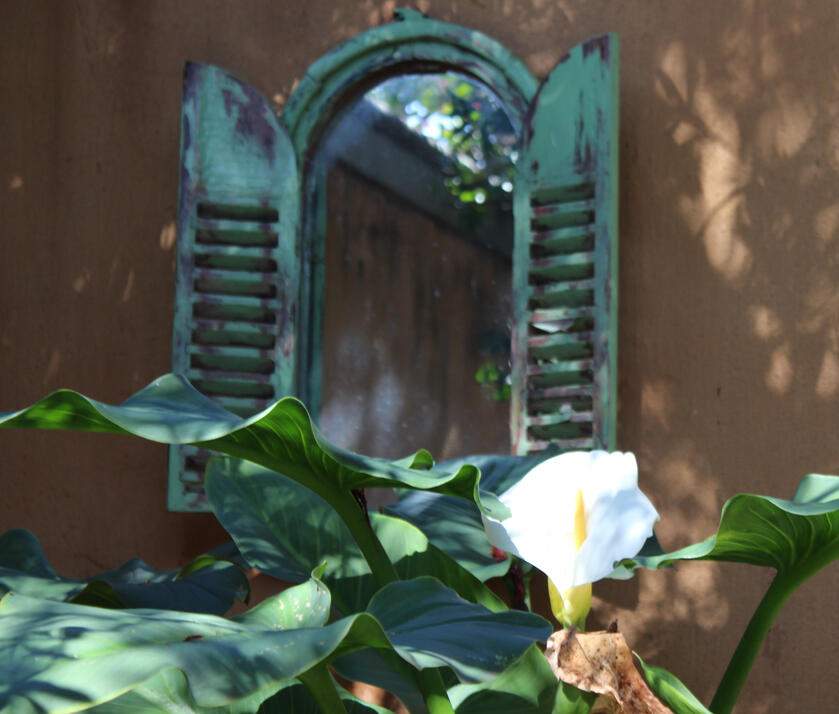 Christen & Friends Logo_Half-Circle